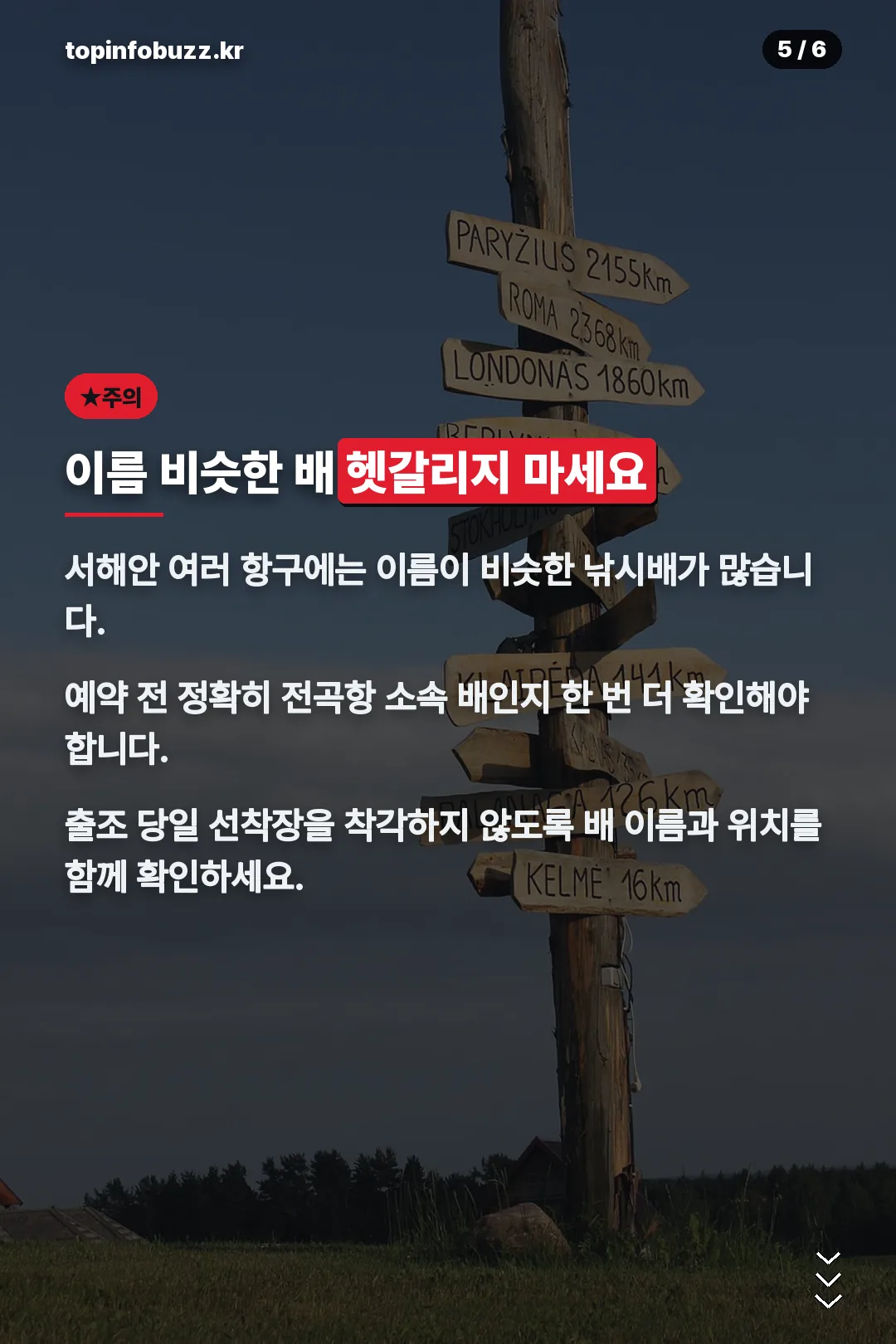 이름 비슷한 배 주의