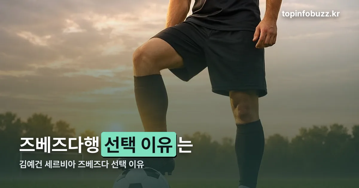 김예건 세르비아 즈베즈다 선택 이유 정리 썸네일