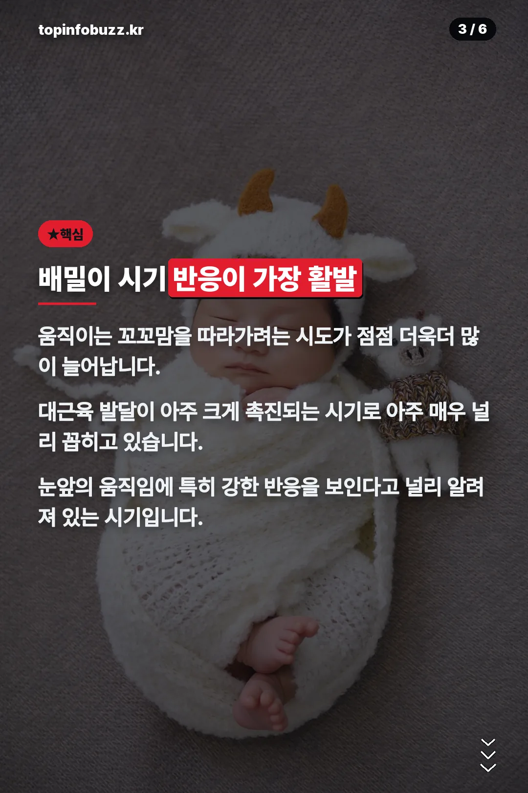 배밀이 시기 반응 활발