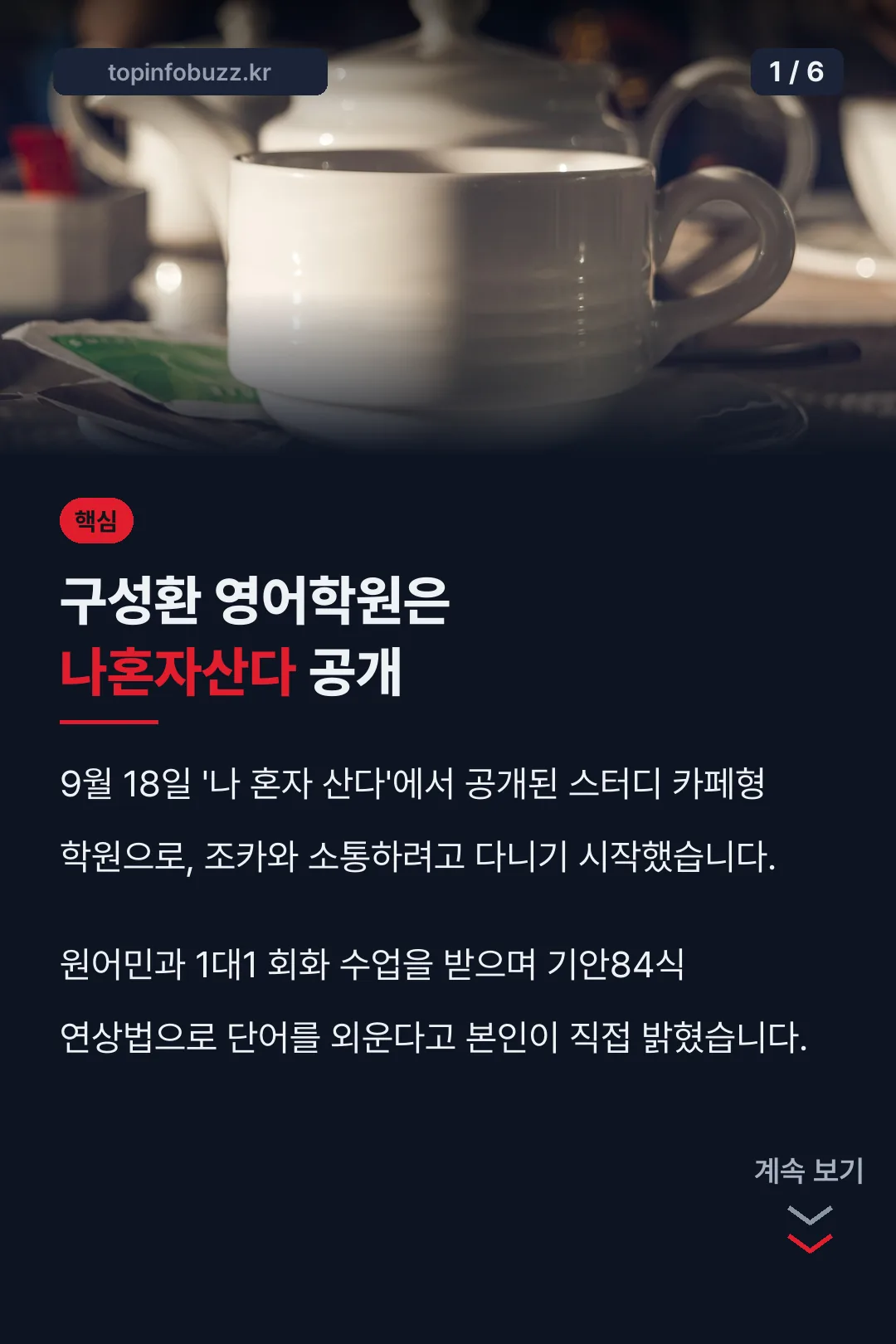 구성환 영어학원은 나혼자산다 공개