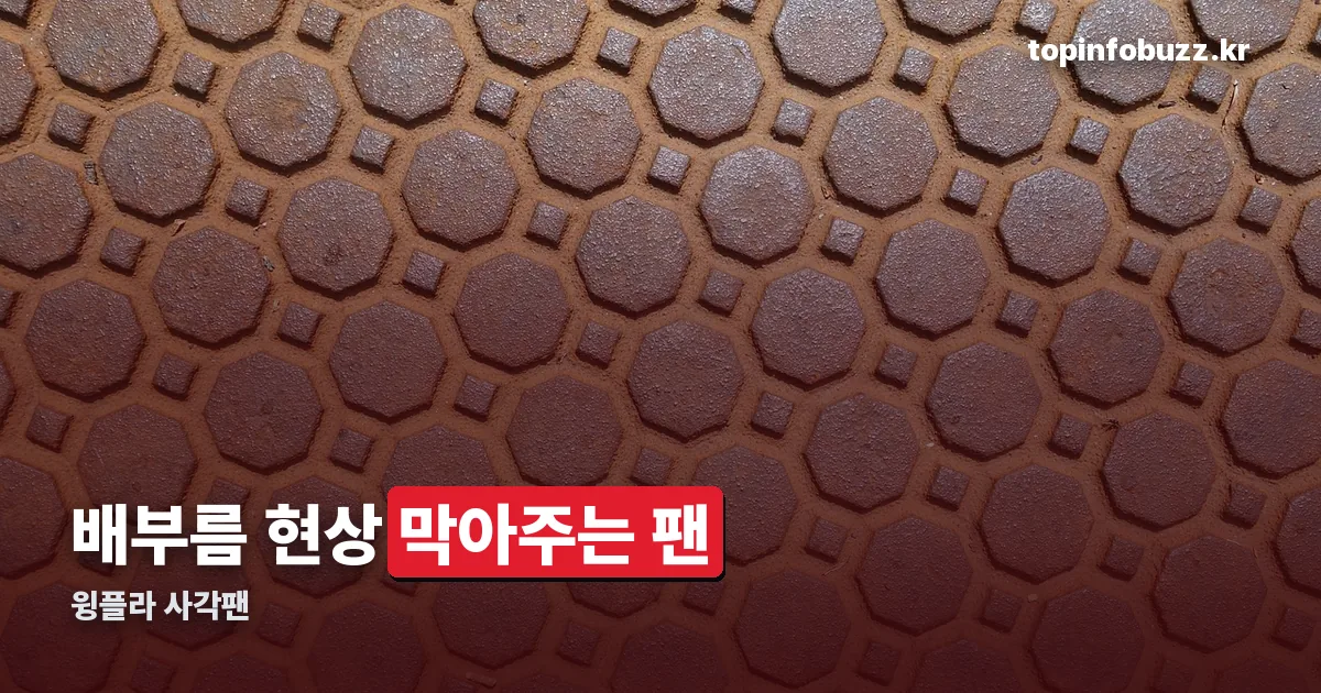 윙플라 사각팬 정리 썸네일