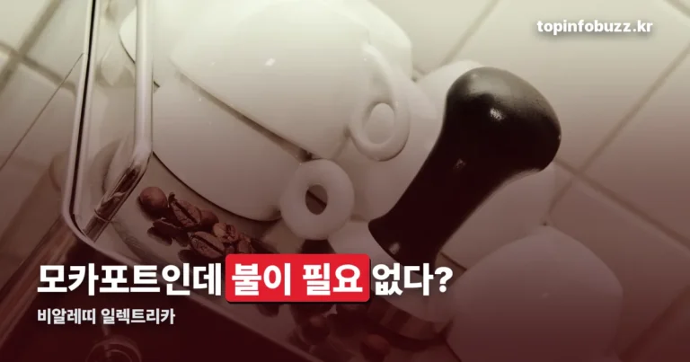 비알레띠 일렉트리카 정리 썸네일