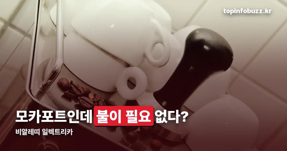 비알레띠 일렉트리카 정리 썸네일