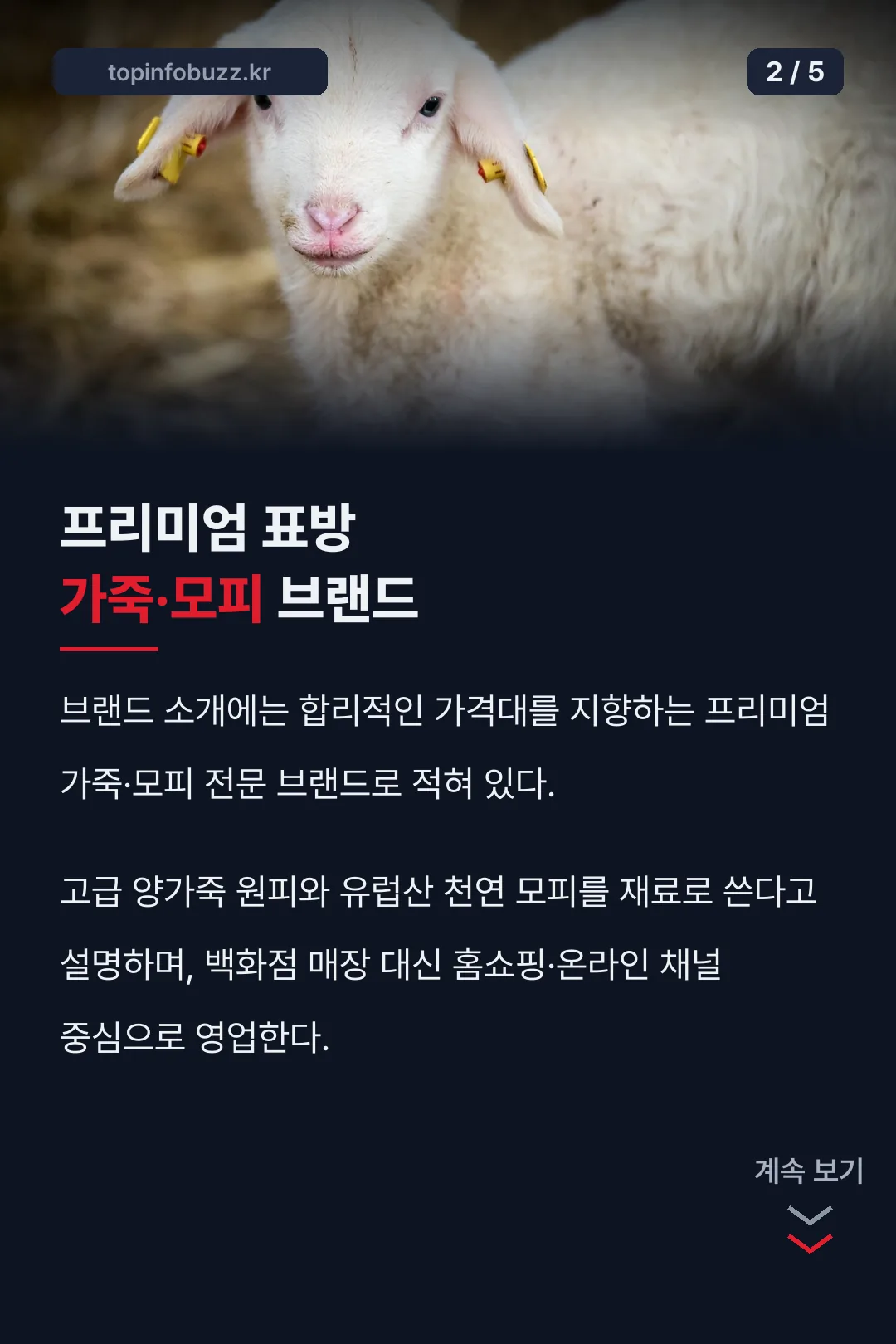 브랜드 소개 카드
