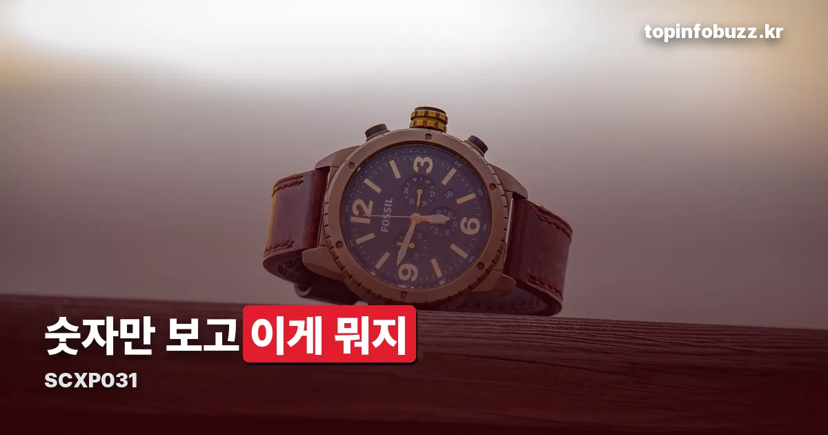 SCXP031 정리 썸네일