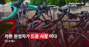 언노운 펄스, 카본 픽시 사이즈와 중고가 정리