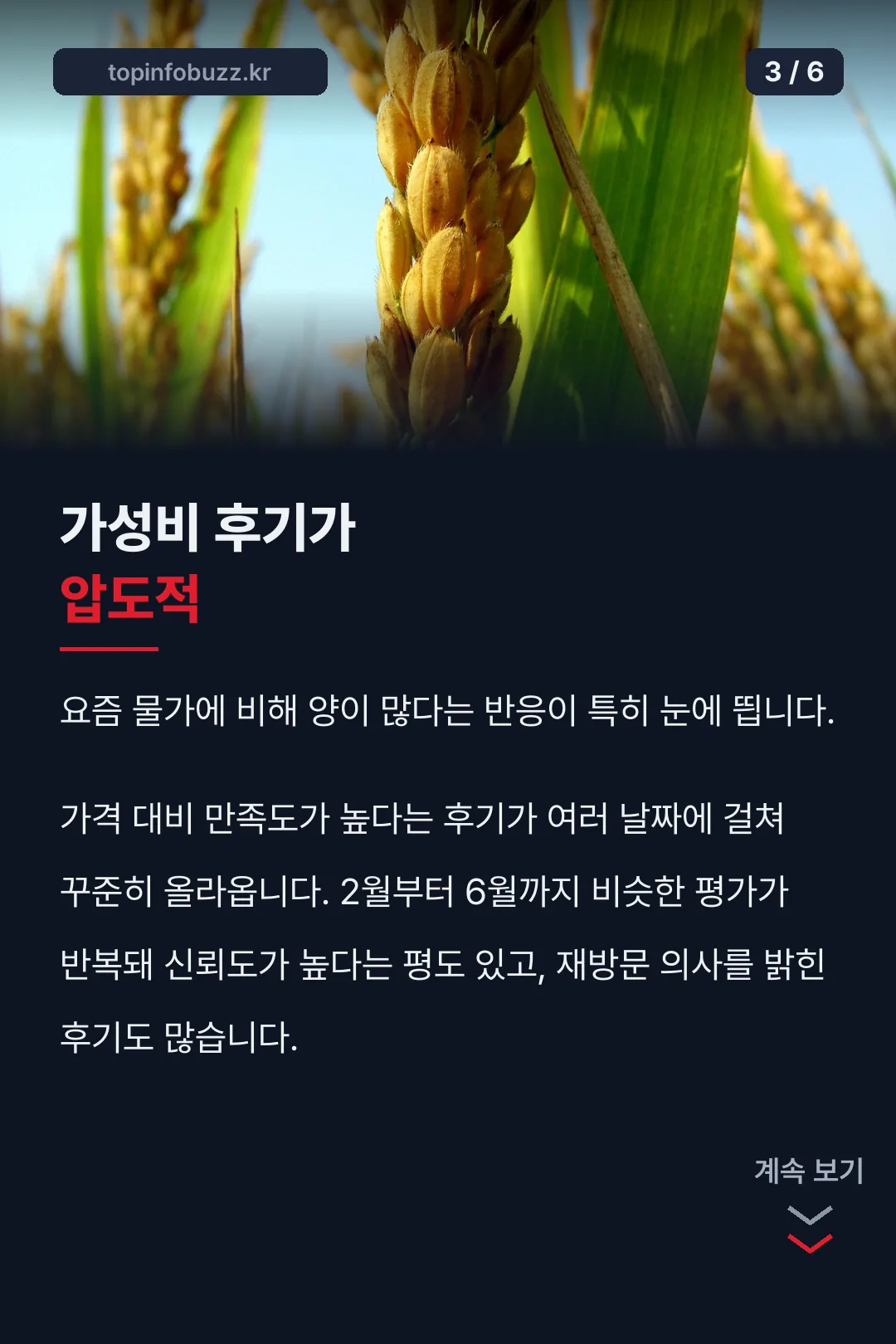 가성비 후기