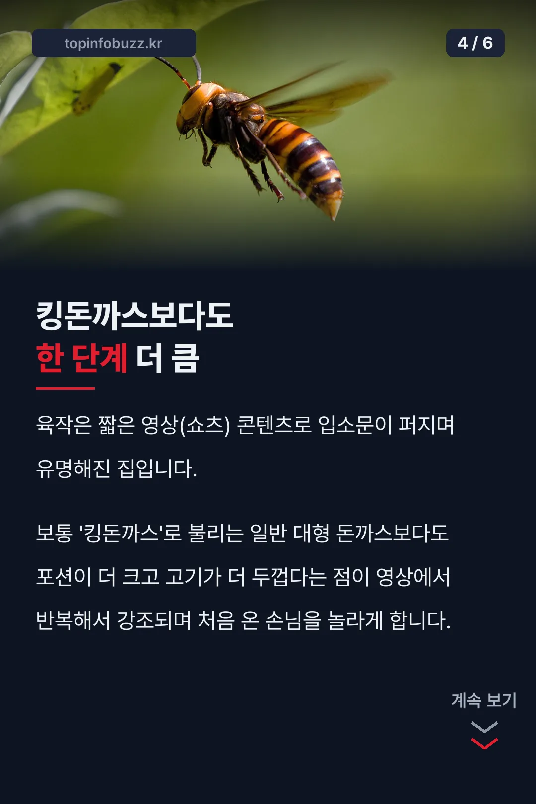 킹돈까스보다 큰 포션